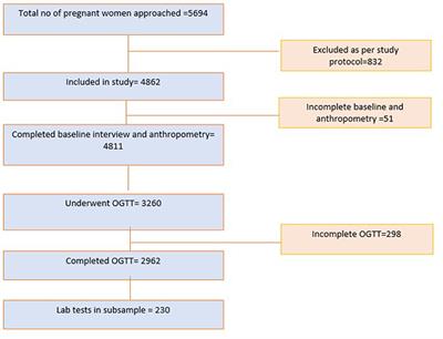 Low levels of Vitamin D during pregnancy associated with gestational diabetes mellitus and low birth weight: results from the MAASTHI birth cohort